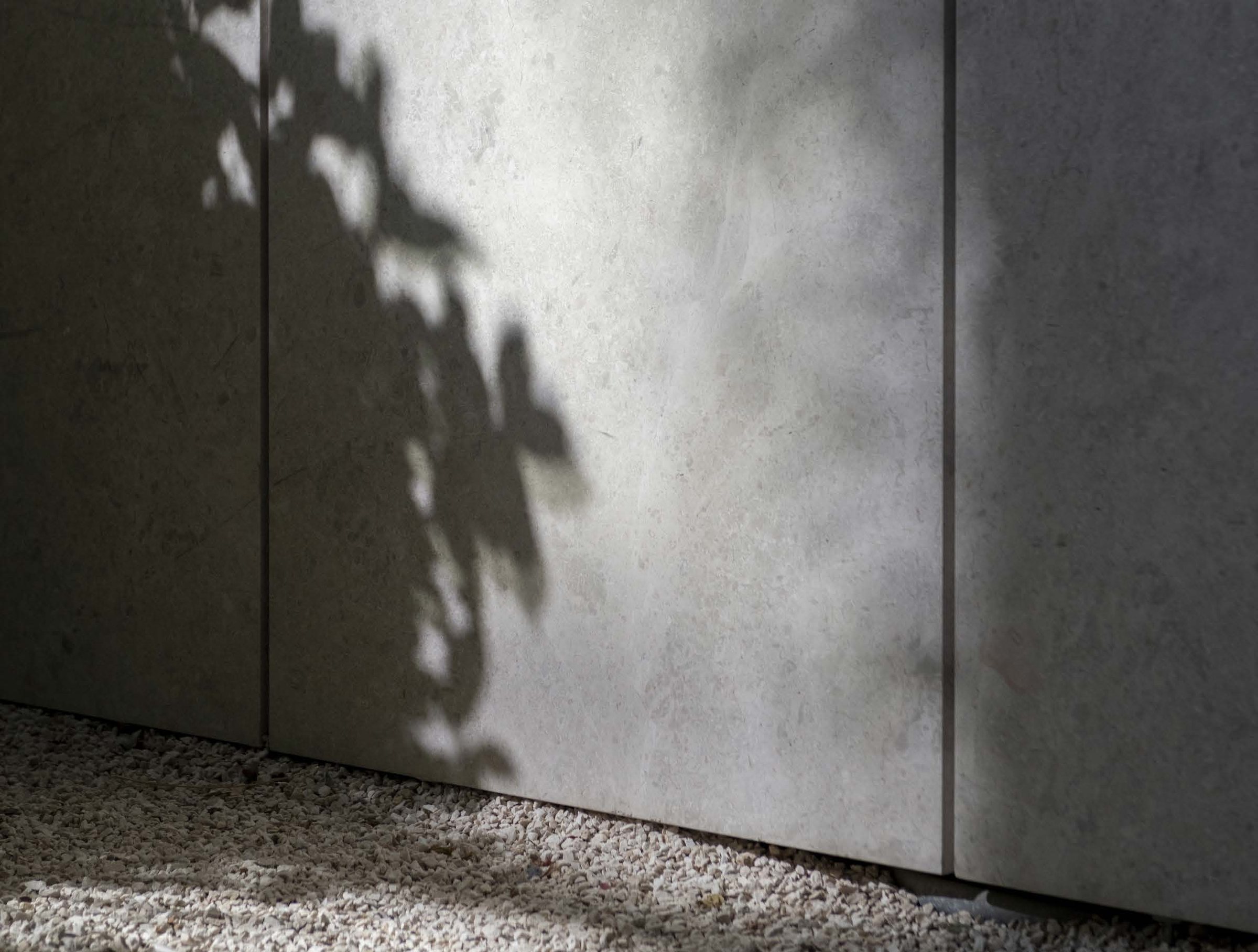 Board-marked concrete under the shadow of a palm